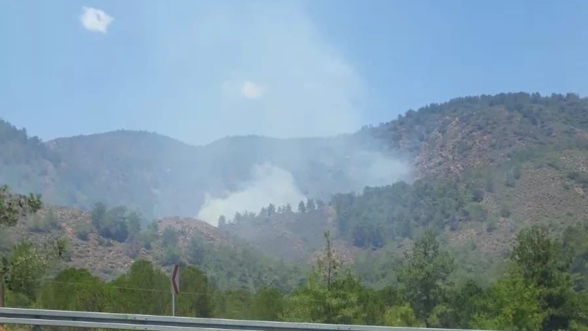 Köceğiz’de ormanlık alanda yangın çıktı