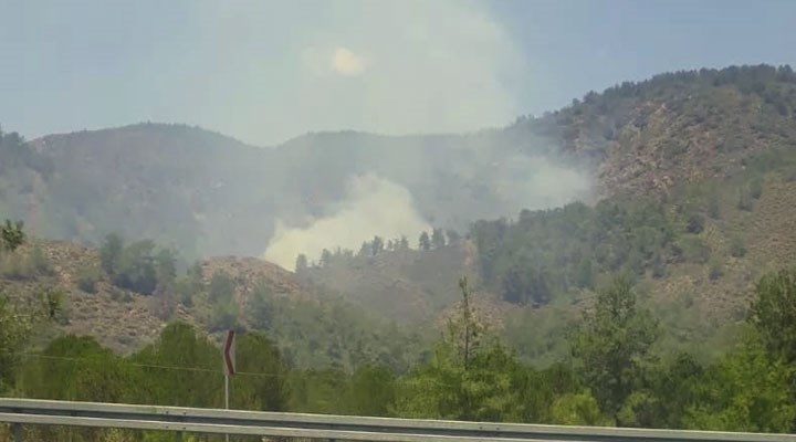 Köyceğiz’de de orman yangını
