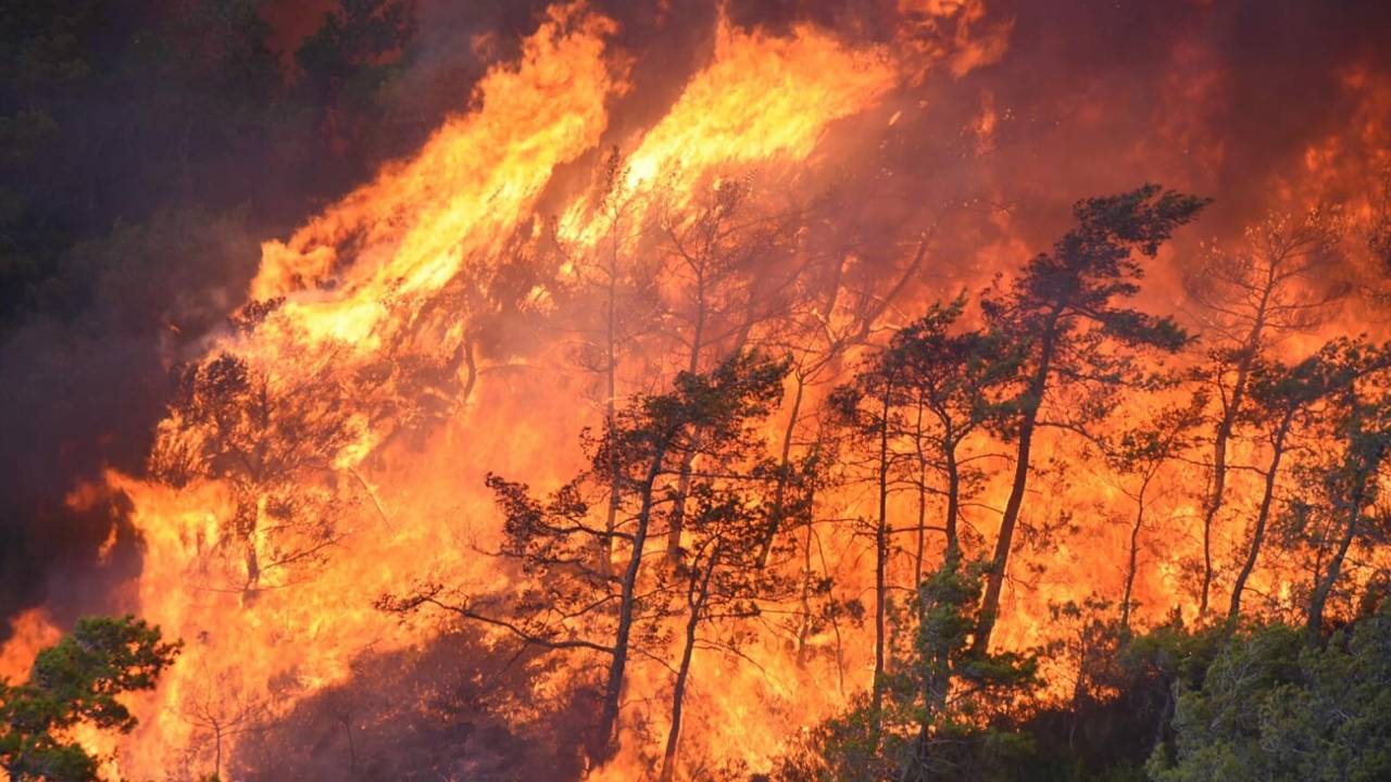 Muğla Cumhuriyet Başsavcılığı’ndan yangına ilişkin soruşturma