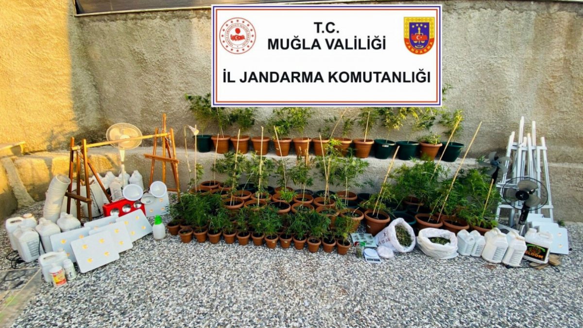 Muğla&#8217;da yaşayan ABD&#8217;linin evinden kilolarca esrar çıktı