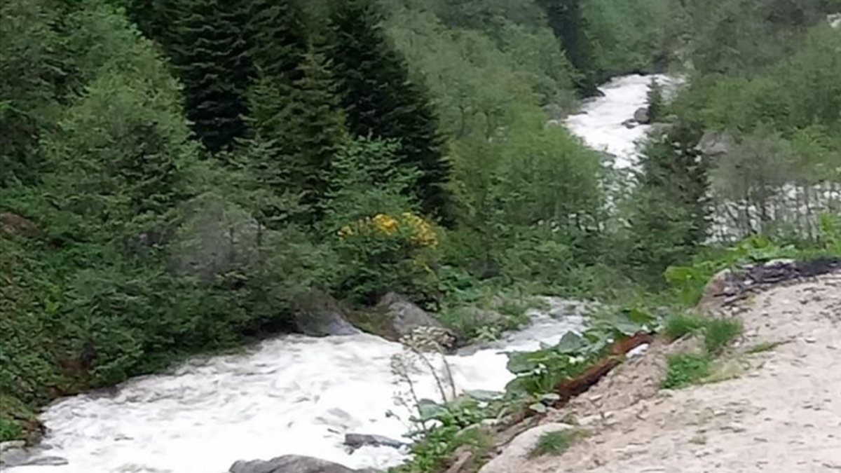 Rize’de Ummanlı turist fotoğraf çektirirken dereye düştü