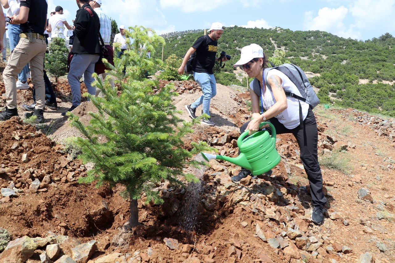 Salda Gölü kenarına 300 fidan dikildi