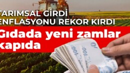 Tarımsal girdi enflasyonu rekor kırdı, gıdada yeni zamlar kapıda