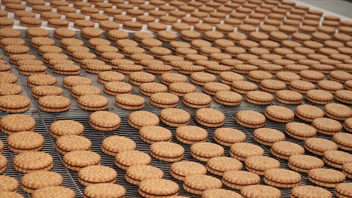 Türkiye’nin en büyük şirketlerinin 93’ü gıda sektöründen