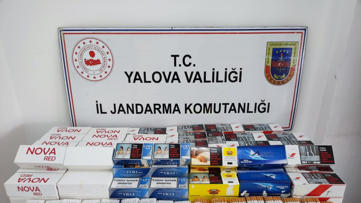 Yalova’da makaron operasyonu