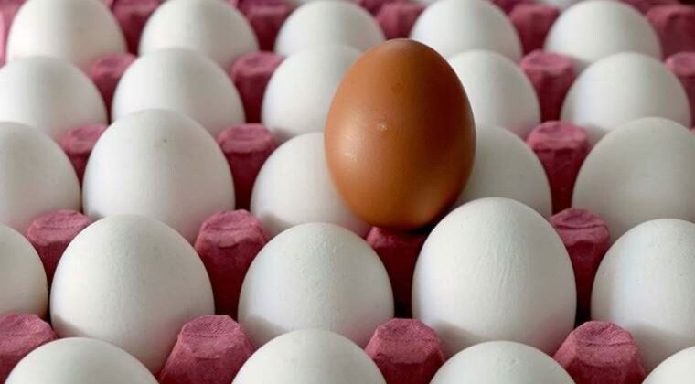 Yumurta üreticileri anlattı: Piyasada yumurta kalmayacak