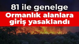 81 ile genelge: Ormanlık alanlara giriş yasaklandı