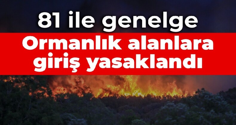 81 ile genelge: Ormanlık alanlara giriş yasaklandı