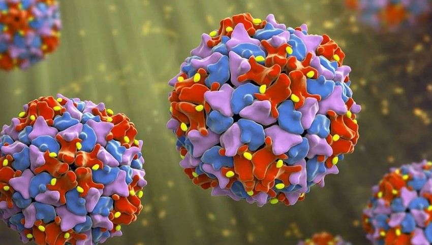 ABD’de en korkulan hastalıklardan biri