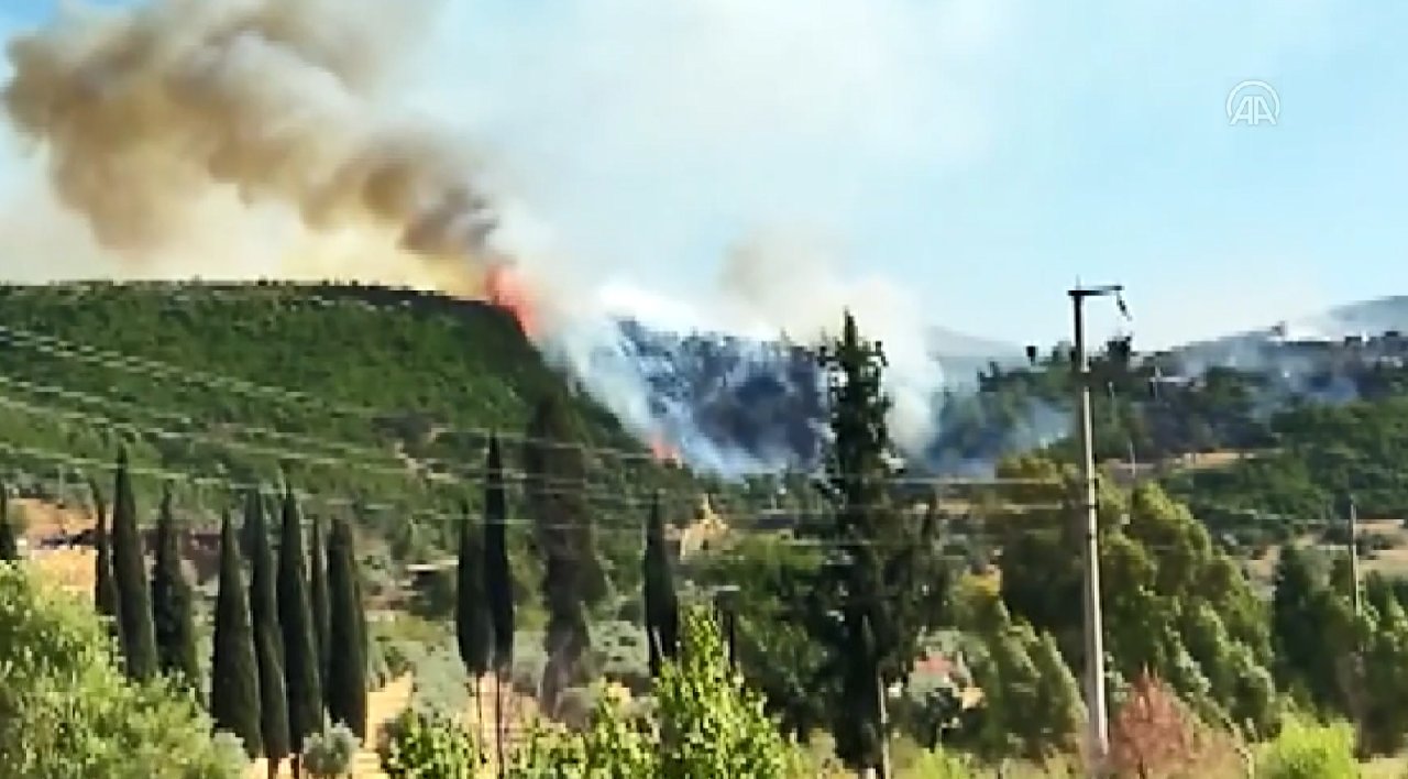 Aydın Söke’de orman yangını