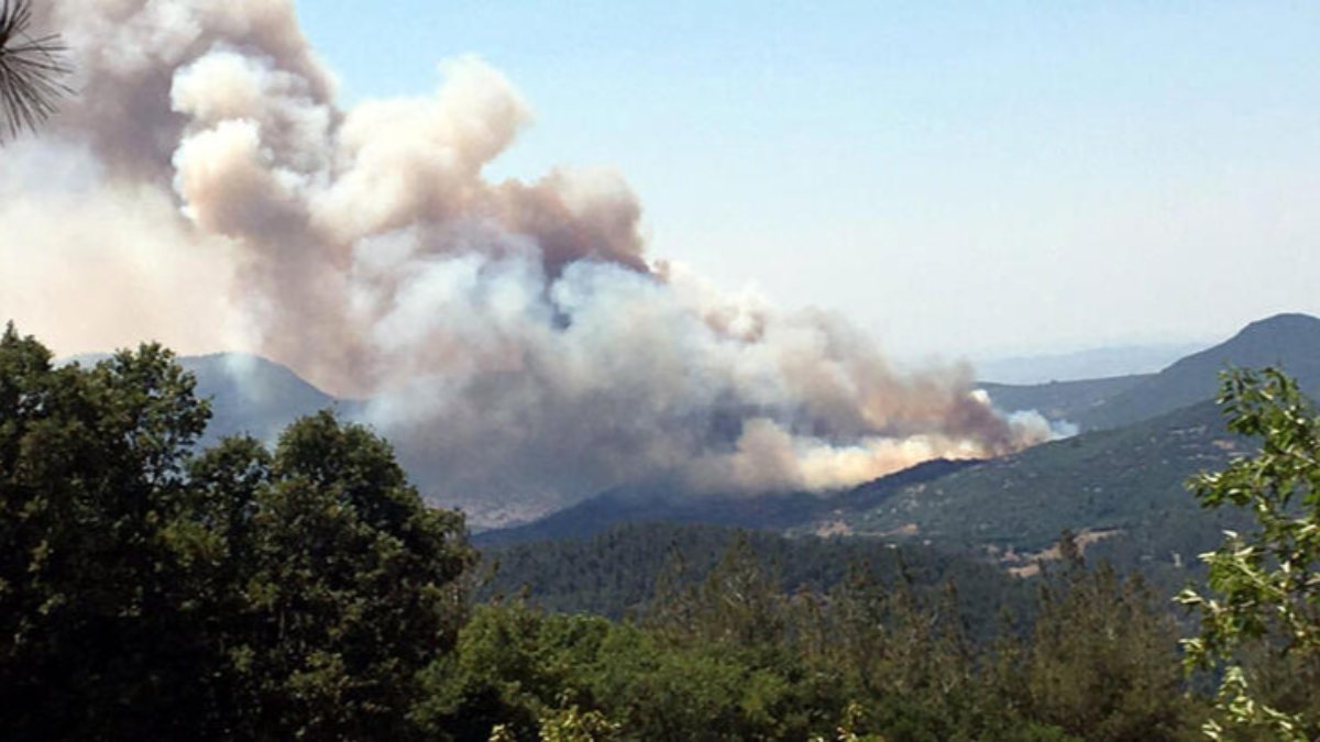 Balıkesir’de orman yangını
