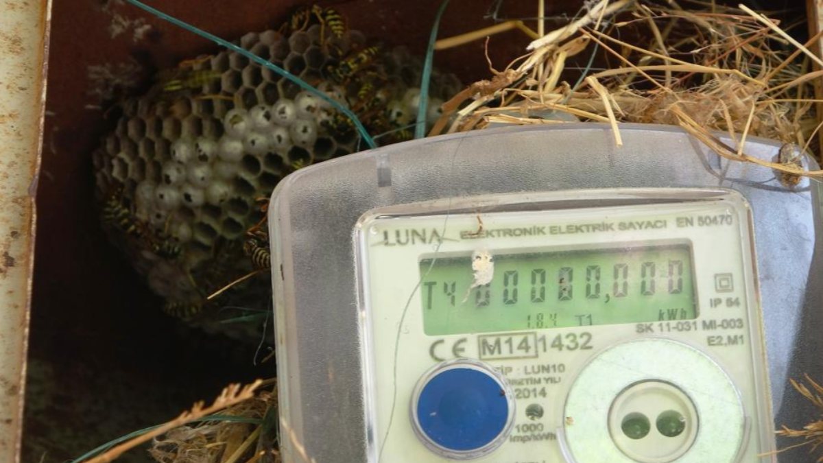 Bitlis’te elektrik arıza ekipleri arılar yüzünden arıcı tulumu giyiyor