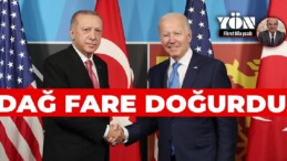 DAĞ FARE DOĞURDU