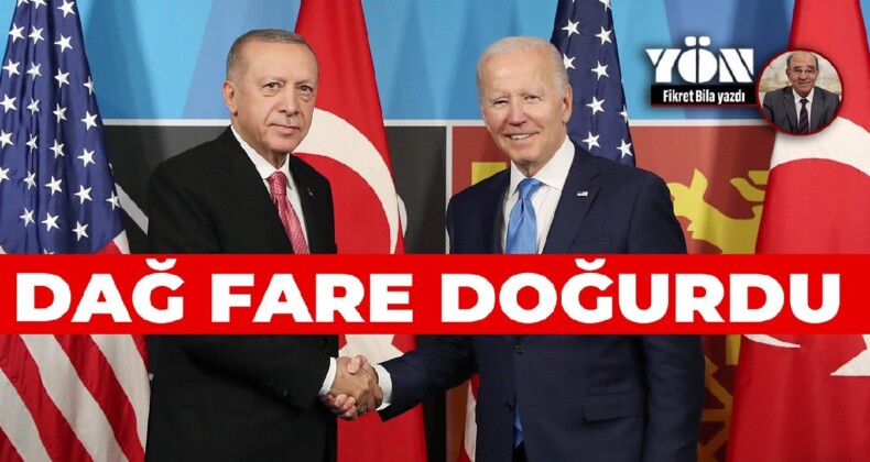 DAĞ FARE DOĞURDU