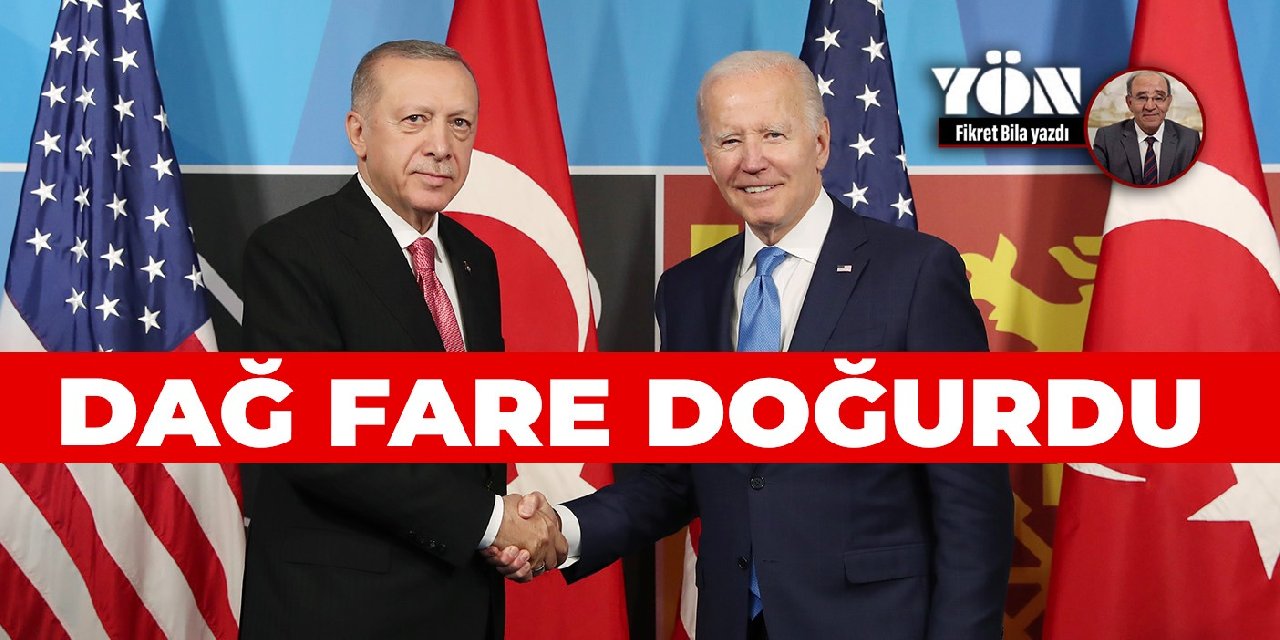 DAĞ FARE DOĞURDU