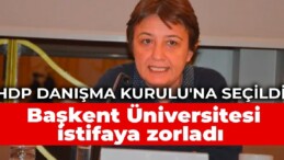 HDP Danışma Kurulu’na seçildi, Başkent Üniversitesi istifaya zorladı