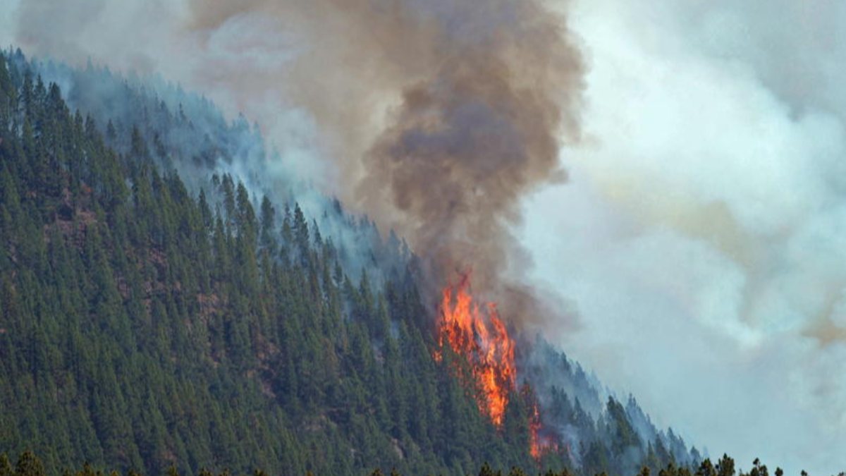 İspanya’da çıkan orman yangınları söndürülemiyor