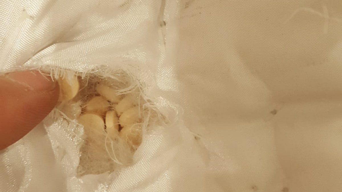 İstanbul Havalimanı’nda uyuşturucu operasyonları