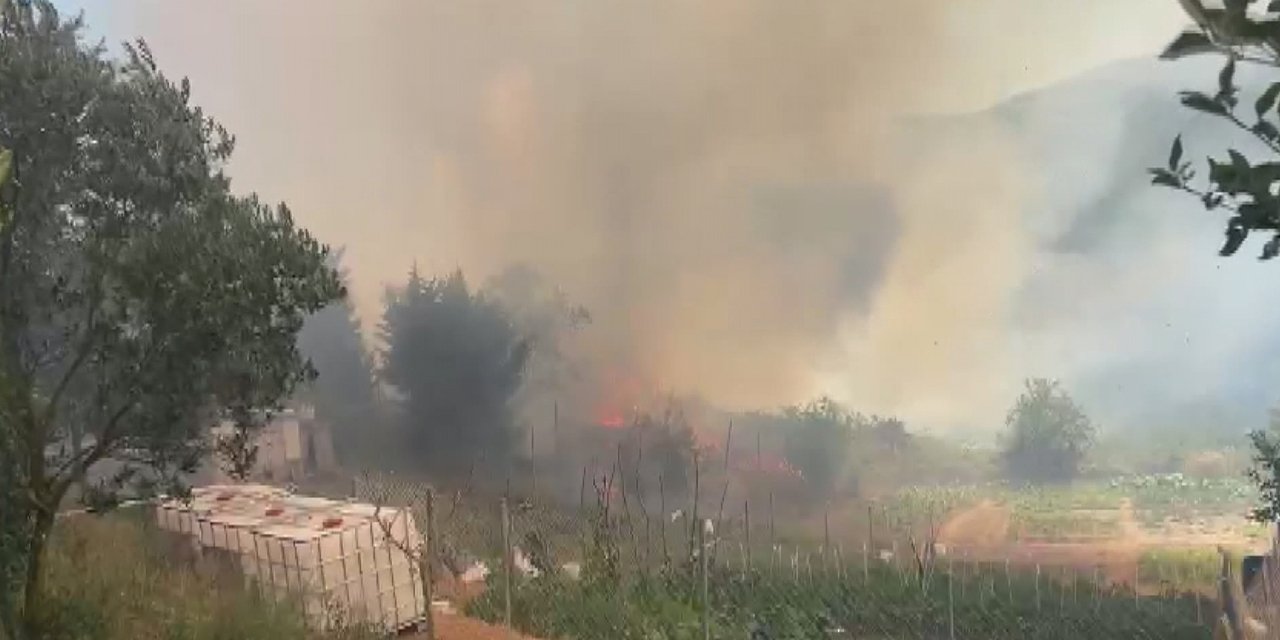 İstanbul’da orman yangını
