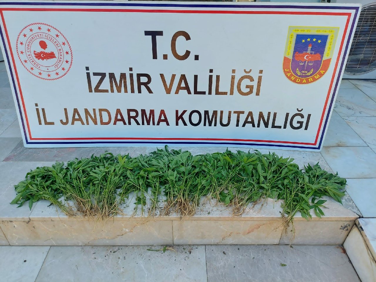 İzmir’de 51 kilogram esrar ele geçirildi: 48 gözaltı