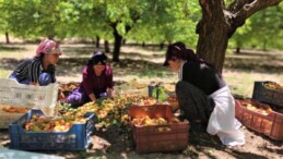 Malatya’da asgari ücretin altında işçi çalıştıranlara yasal işlem yapılacak