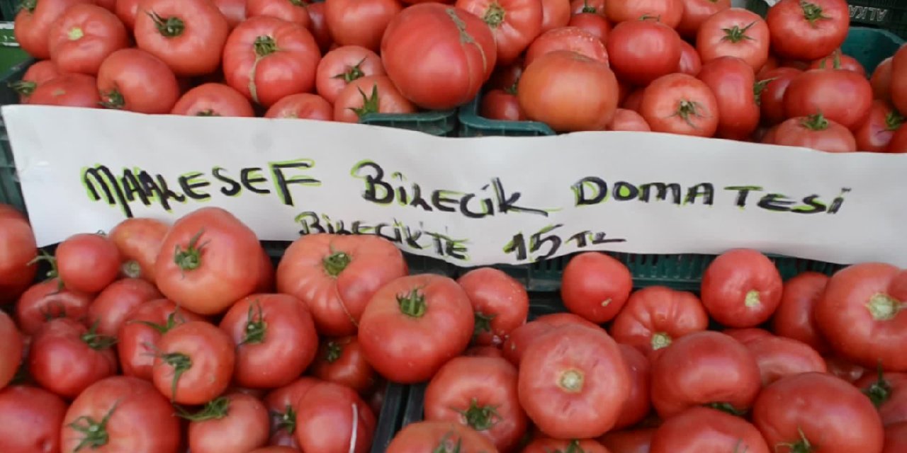 Manavın etiketi: Bilecik domatesi Bilecik’te 14 TL