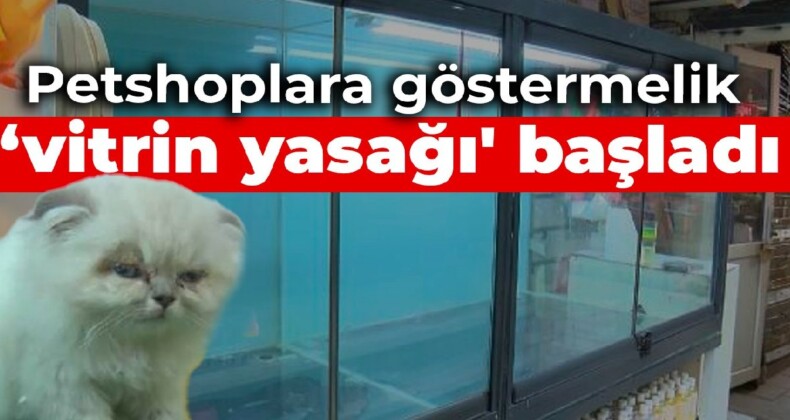 Petshoplara göstermelik ‘vitrin yasağı’ başladı