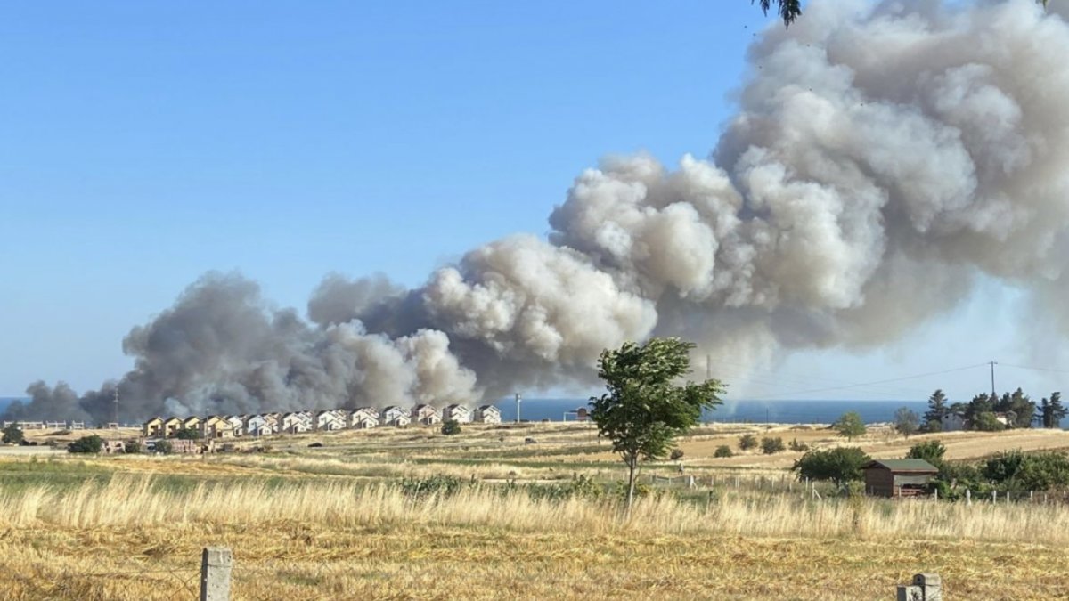 Silivri’de buğday tarlası kül oldu