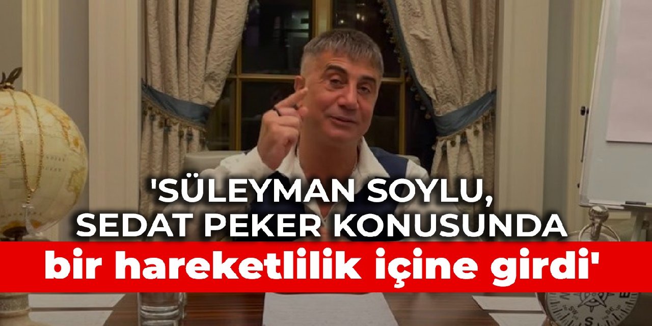 ‘Süleyman Soylu, Sedat Peker konusunda bir hareketlilik içine girdi’