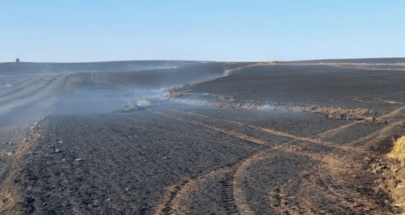 Tekirdağ’da bin dönüm buğday tarlası yandı