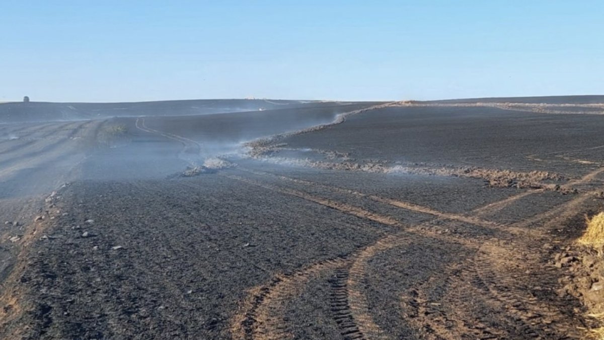 Tekirdağ’da bin dönüm buğday tarlası yandı