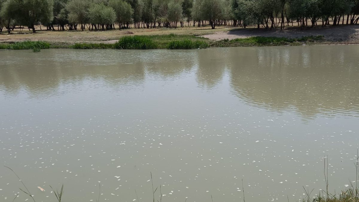 Aras Nehri’ne düşen çocuğunu kurtarmaya çalışan anne akıntıya kapılarak boğuldu