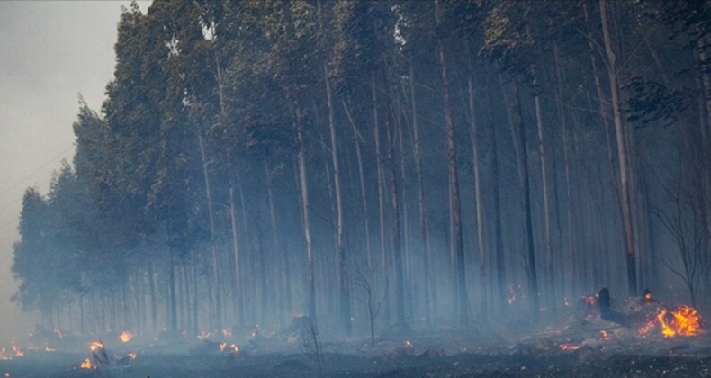 Arjantin’de orman yangınlarıyla mücadele: Ordu görevlendirildi