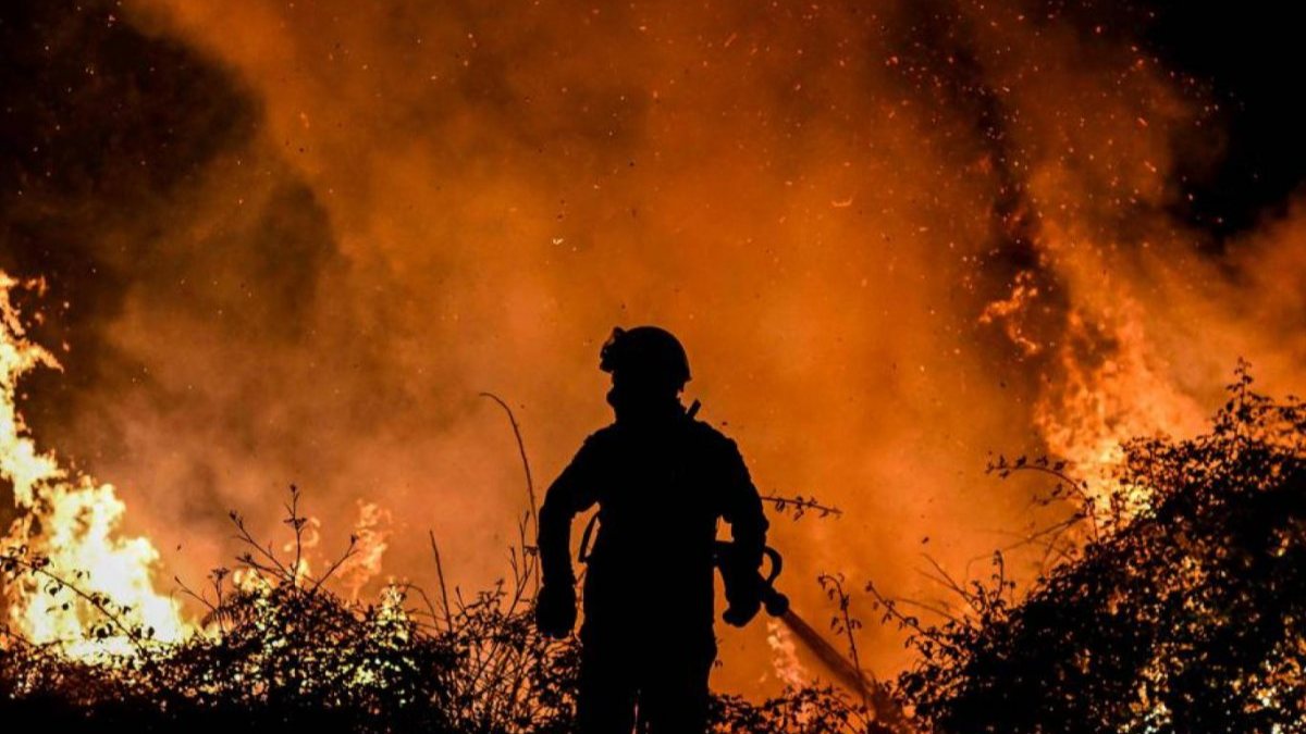 Avrupa’da Roma’nın 5 katı büyüklüğünde alan küle döndü