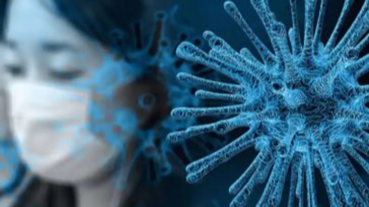 Çin’de LayV virüsü 35 kişide görüldü