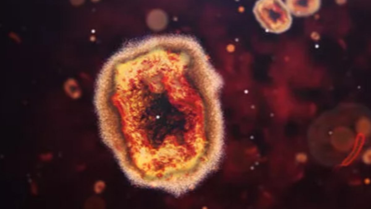 Çin’de ölümcül virüs paniği: 35 kişiye bulaştı