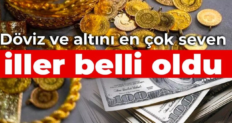 Döviz ve altını en çok seven iller belli oldu