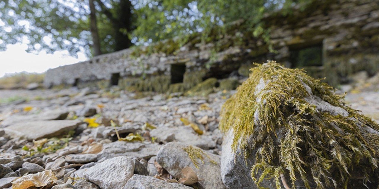 Galler’de kuraklık ilan edildi