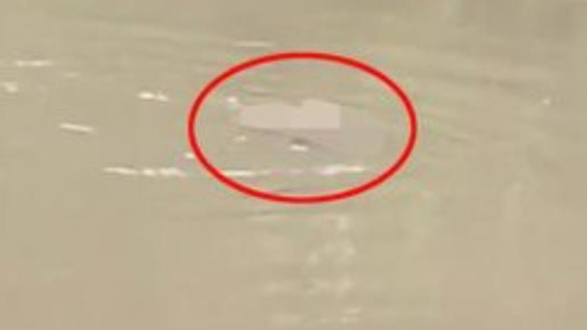 Hindistan’da kan donduran olay: Nehre düşen şahsı timsah yedi