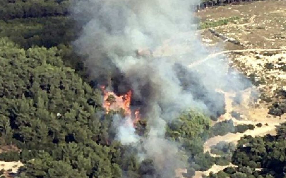 İzmir’de orman yangını