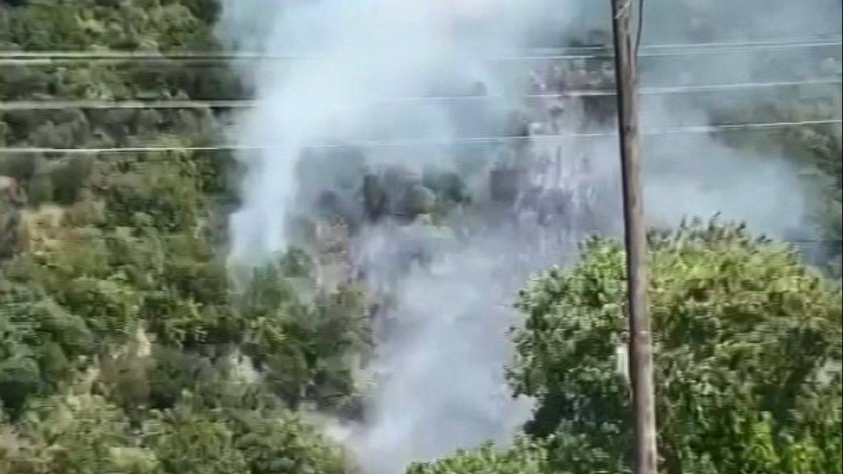 Kocaeli’de orman yangını: 1 kişi gözaltında