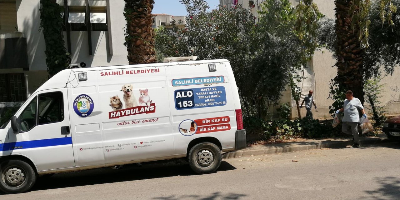 Manisa’da 15 kedi ve 1 köpek ölü bulundu