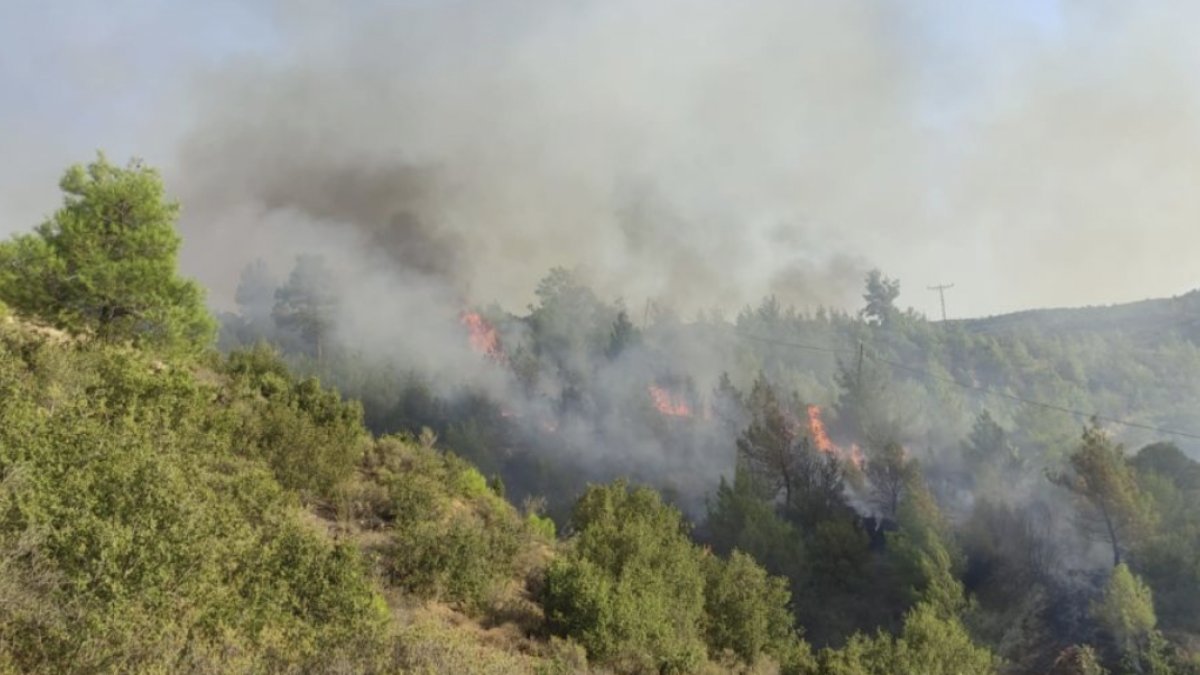 Manisa’da orman yangını
