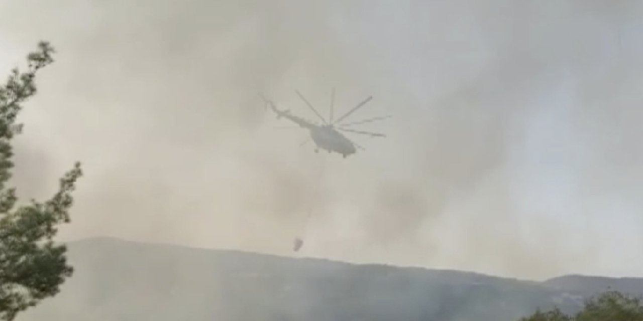 Manisa’da orman yangını