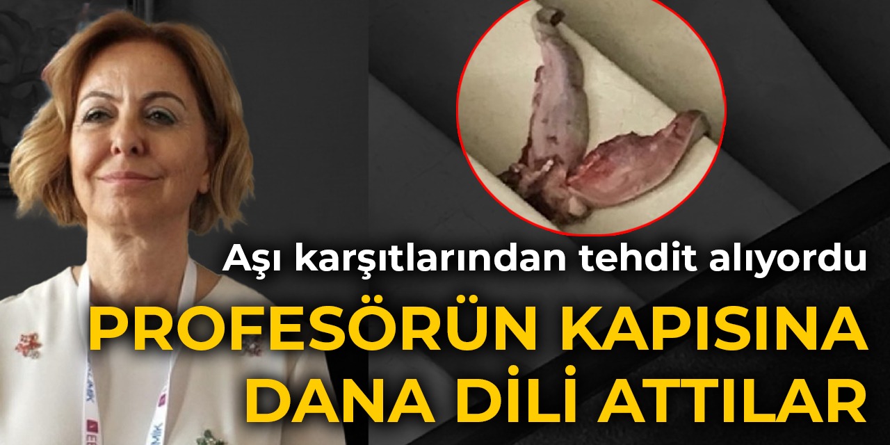 Profesörün kapısına dana dili attılar