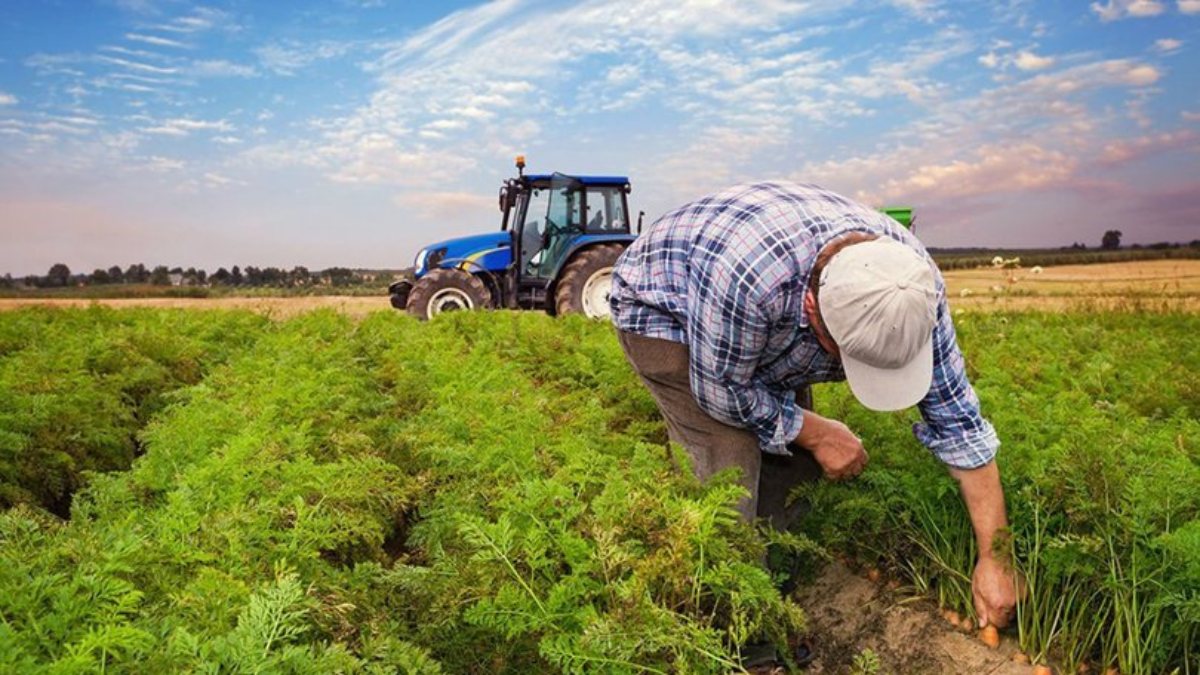 Stokçuluğa karşı yeni hal kayıt sistemi