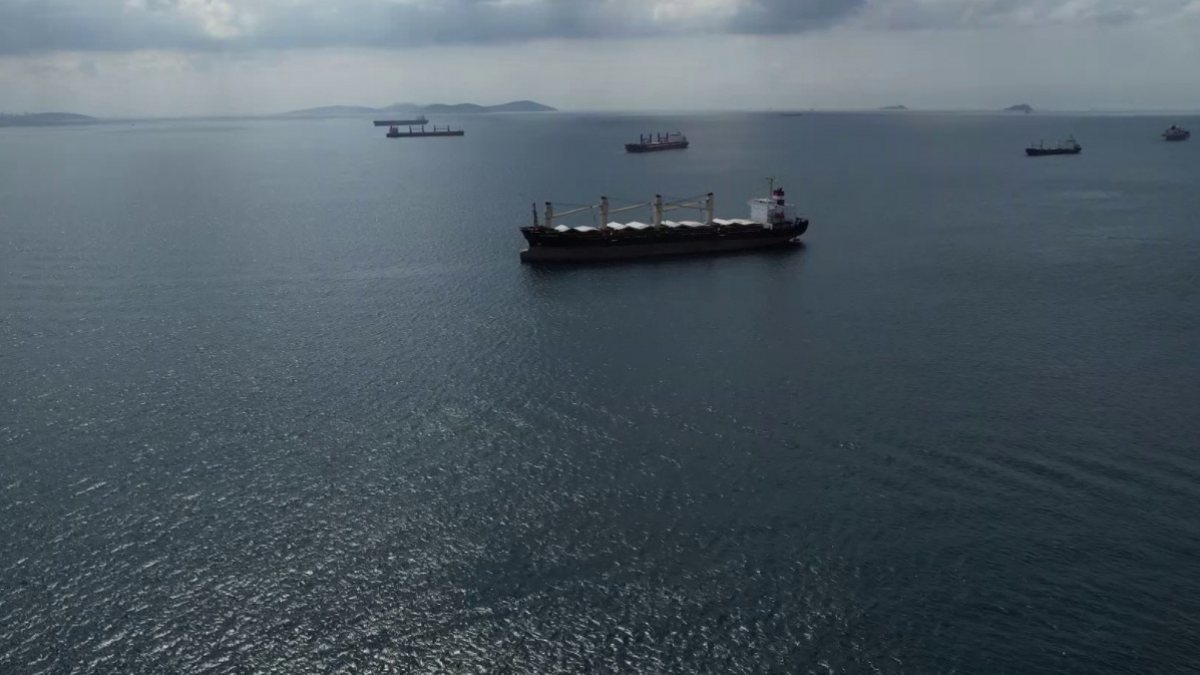 Ukrayna limanlarından tahıl yüklü 3 gemi hareket etti