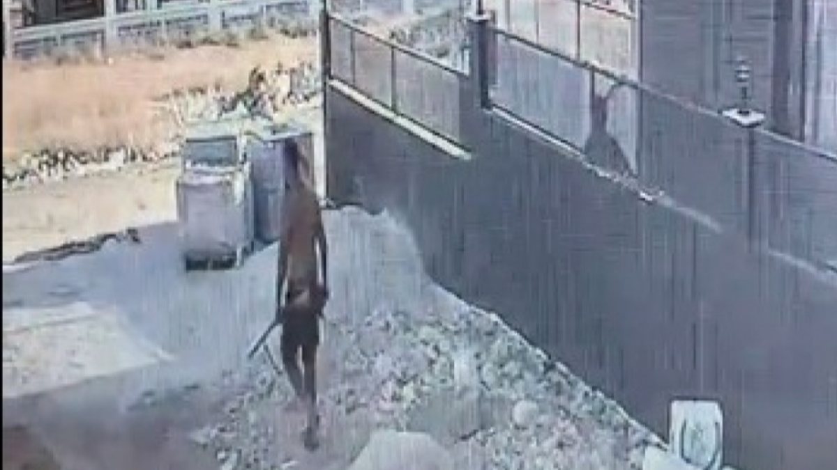 Adana’da bir şahsın yavru köpeği vurduğu anlar kamerada