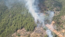 Son Dakika: Alanya’da orman yangını çıktı! İlk müdahale geldi!