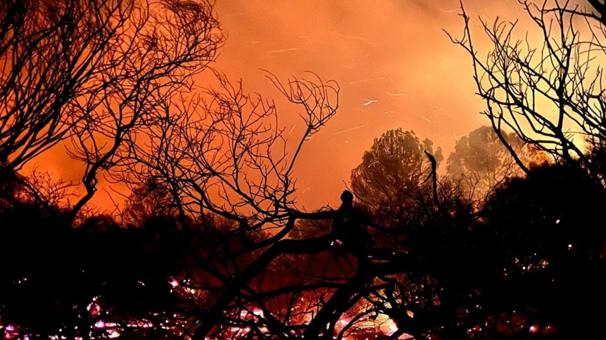 Antalya’da ormanlık alanda yangın